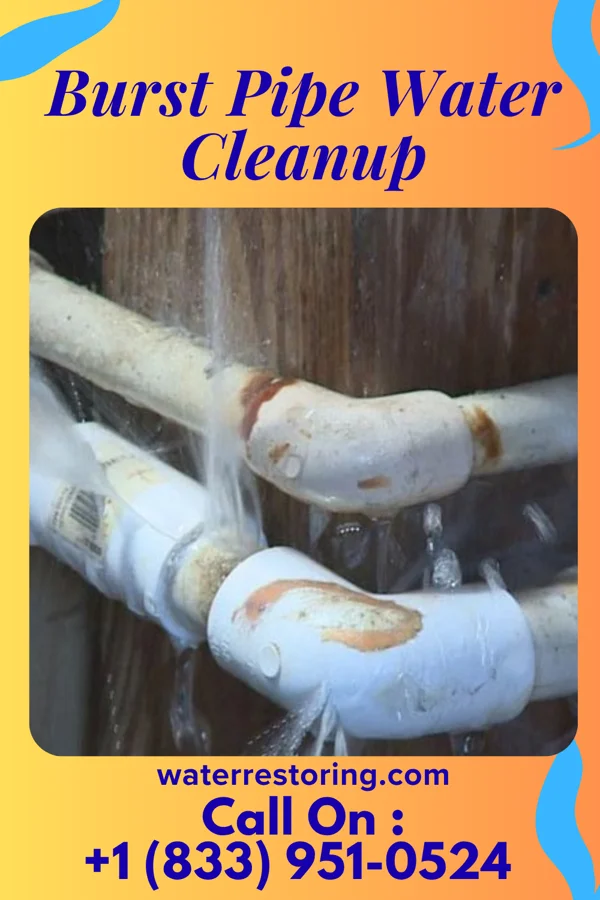 Burst Pipe Water Cleanup in Frederick, KS